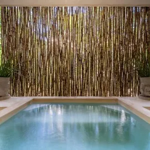 https://casa-cenote-private-pool-gated.tulum-hotels.net